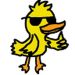 Pato Voador