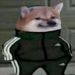 FaelCaraDPastel