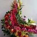 Daiane Brandão