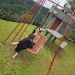 foto de fabiane zanotin