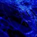 blueice Gabi