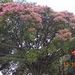 foto de Eliane Hanna