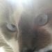 foto de Matheuz499 Matheuz499