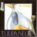 Tulipa Negra Blues Band