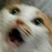 Lucas Vou Por Sad