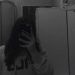Matildee ?