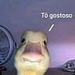 foto de Magno luiz