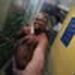 foto de Samuel Araujo
