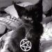faael