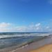 foto de Igor Pereira