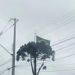 foto de Maicon Zacarias