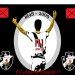 thiago simonato leite torres