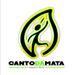 Alex Canto da Mata Pontes