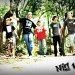 Banda Nig 16