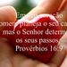 Marcelo Magalhaes Fernandes Filho