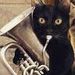 foto de Jhony euphonium