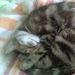 Wilber samuel Garcia Apaza