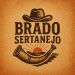 foto de Brado Sertanejo