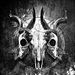 BoneBeast 