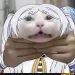 Netbest Netbest