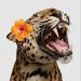 foto de Jaguar