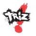 Banda TRIZ
