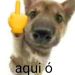 Manoela Postale