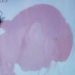 antitou