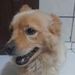 foto de Arthur Boaventura