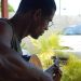 foto de Alves