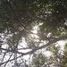 foto de R API
