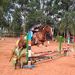 Otavio C