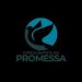 Sonoplastia IBP