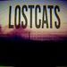 Lost Cats