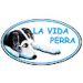 ESTEBAN HUERTA LA VIDA PERRA (LA VIDA PERRA)