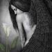 Kelly Reis