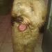 foto de Sidney Cardoso