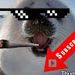 MISTER FOCA AJ