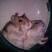 Krys Freire