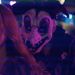 Springbonnie 123