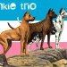 Banda Trio