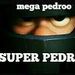 mega pedroo