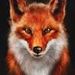 Fox D