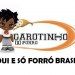 GAROTINHODOFORRO