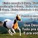 Rio 40% chakman
