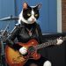 RockerCat