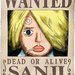 Luis Sanji Vinsmoke Flores