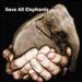 foto de Save Elephants