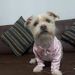 foto de Lourdes Cuya