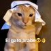 Sefusio